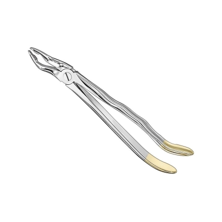 Extracting forceps, anat.